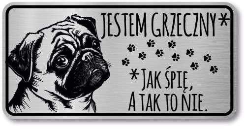 Tabliczka ostrzegawcza - Uwaga pies MOPS śmieszna
