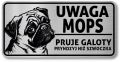 Tabliczka ostrzegawcza - Uwaga pies MOPS po śląsku