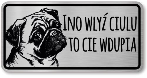 Tabliczka ostrzegawcza - Uwaga pies MOPS po śląsku