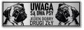Tabliczka ostrzegawcza - Uwaga pies MOPS 2 psy