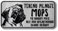 Tabliczka ostrzegawcza - Uwaga pies MOPS