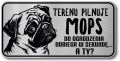 Tabliczka ostrzegawcza - Uwaga pies MOPS