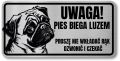 Tabliczka ostrzegawcza - Uwaga pies MOPS