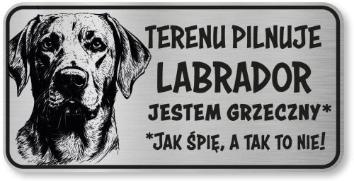 Uwaga pies tabliczka 20x10 Labrador