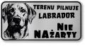 Uwaga pies tabliczka 20x10 Labrador