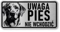 Uwaga pies tabliczka 20x10 Labrador