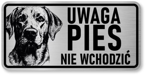 Uwaga pies tabliczka 20x10 Labrador