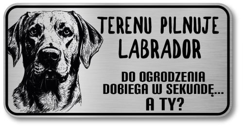 Uwaga pies tabliczka 20x10 Labrador