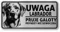 Uwaga pies tabliczka 20x10 Labrador