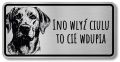 Uwaga pies tabliczka 20x10 Labrador