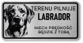 Uwaga pies tabliczka 20x10 Labrador