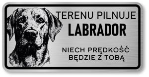 Uwaga pies tabliczka 20x10 Labrador