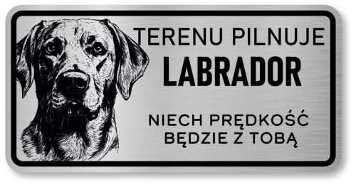 Uwaga pies tabliczka 20x10 Labrador