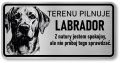 Uwaga pies tabliczka 20x10 Labrador
