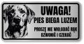 Uwaga pies tabliczka 20x10 Labrador