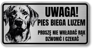 Uwaga pies tabliczka 20x10 Labrador