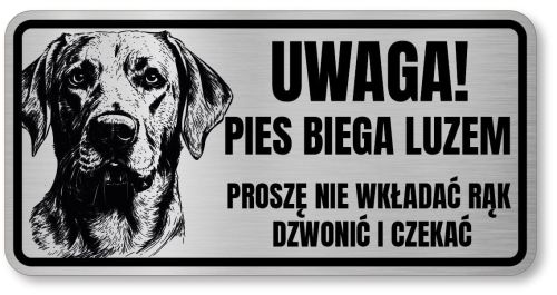 Uwaga pies tabliczka 20x10 Labrador
