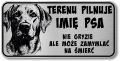 Uwaga pies tabliczka 20x10 Labrador