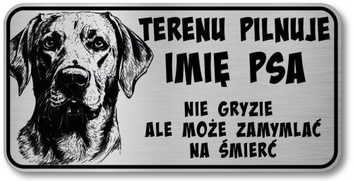 Uwaga pies tabliczka 20x10 Labrador