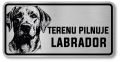 Uwaga pies tabliczka 20x10 Labrador