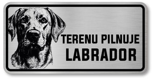 Uwaga pies tabliczka 20x10 Labrador