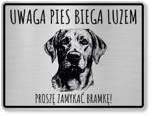 Uwaga pies tabliczka 20x10 Labrador