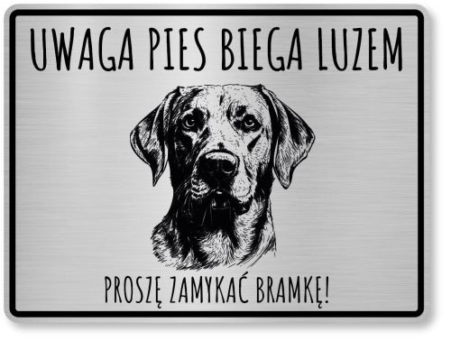 Uwaga pies tabliczka 20x10 Labrador