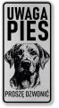 Uwaga pies tabliczka 20x10 Labrador