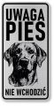 Uwaga pies tabliczka 20x10 Labrador