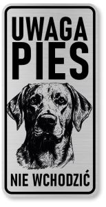Uwaga pies tabliczka 20x10 Labrador