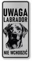 Uwaga pies tabliczka 20x10 Labrador
