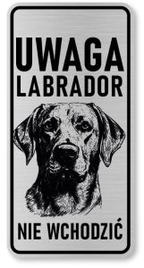 Uwaga pies tabliczka 20x10 Labrador