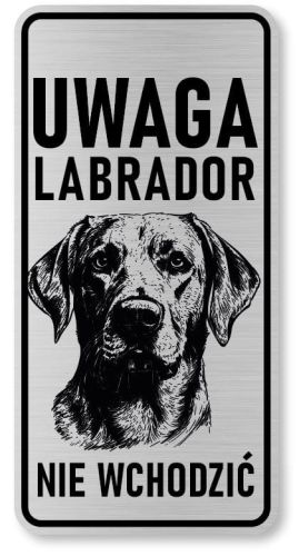 Uwaga pies tabliczka 20x10 Labrador