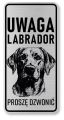 Uwaga pies tabliczka 20x10 Labrador