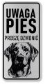Uwaga pies tabliczka 20x10 Labrador