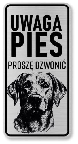 Uwaga pies tabliczka 20x10 Labrador