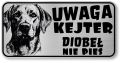 Uwaga pies tabliczka 20x10 Labrador