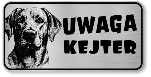 Uwaga pies tabliczka 20x10 Labrador