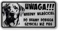 Uwaga pies tabliczka 20x10 Labrador