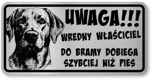 Uwaga pies tabliczka 20x10 Labrador