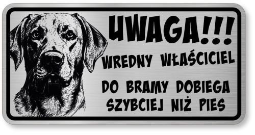 Uwaga pies tabliczka 20x10 Labrador