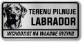 Uwaga pies tabliczka 20x10 Labrador