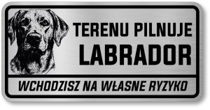 Uwaga pies tabliczka 20x10 Labrador