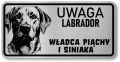 Uwaga pies tabliczka 20x10 Labrador