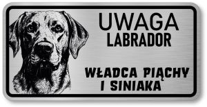 Uwaga pies tabliczka 20x10 Labrador