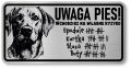 Uwaga pies tabliczka 20x10 Labrador