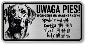 Uwaga pies tabliczka 20x10 Labrador