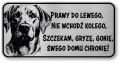 Uwaga pies tabliczka 20x10 Labrador