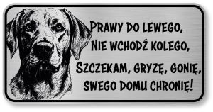 Uwaga pies tabliczka 20x10 Labrador