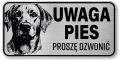 Uwaga pies tabliczka 20x10 Labrador